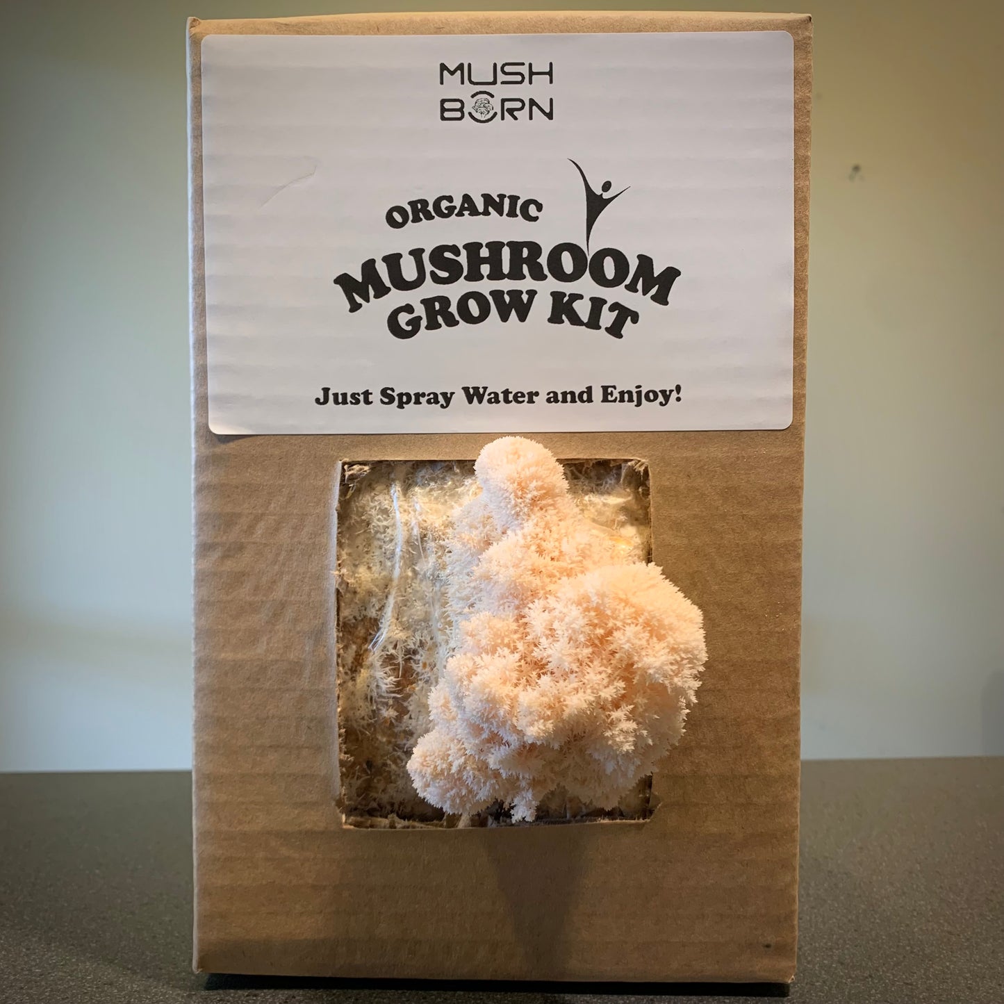 Lion’s Mane Extract Powder