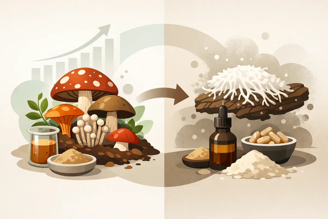 Why Are Fruiting Bodies Better for Mushroom Extracts?
