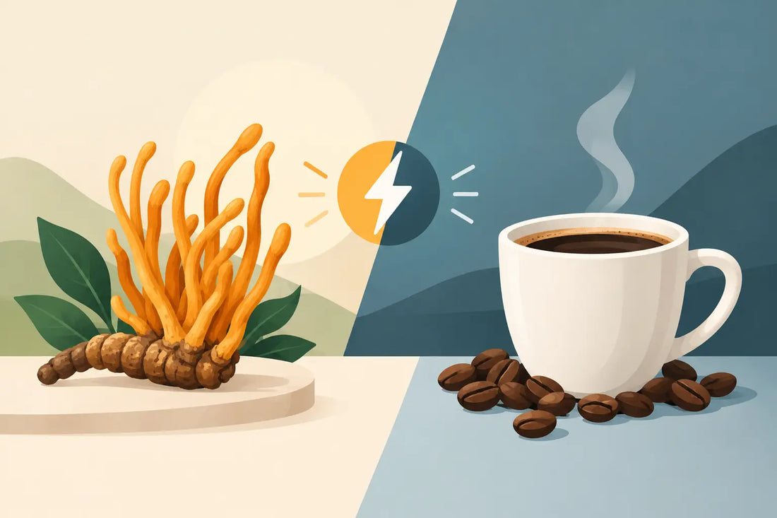 Cordyceps Versus Caffeine: Which Energy Fits?
