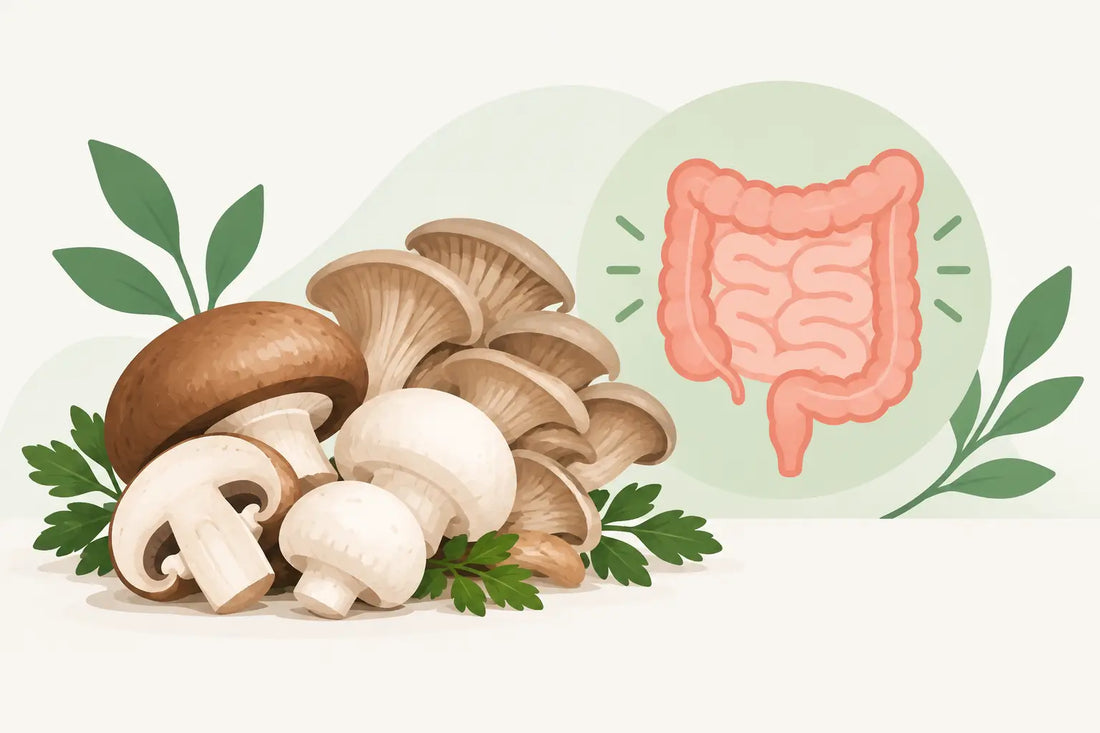 Can Mushrooms Support Digestion? What to Know
