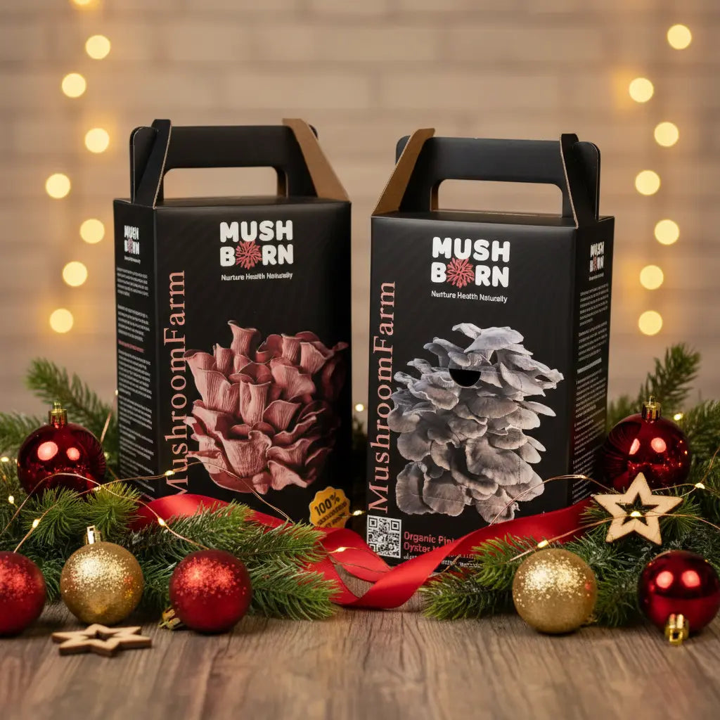 A Practical Guide to Mushroom Home Kits