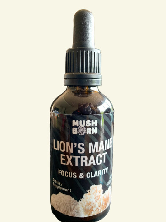 Lion’s Mane Extract