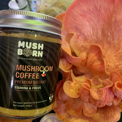 Mushroom Coffee