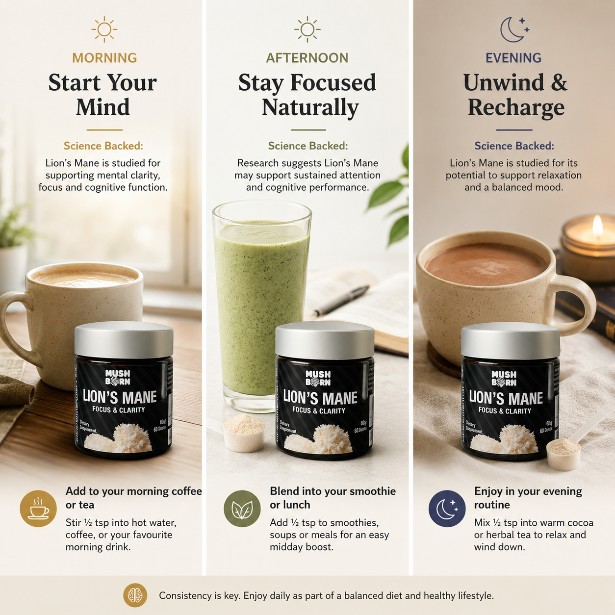 Lion’s Mane Extract Powder