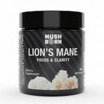 Lion’s Mane Extract Powder