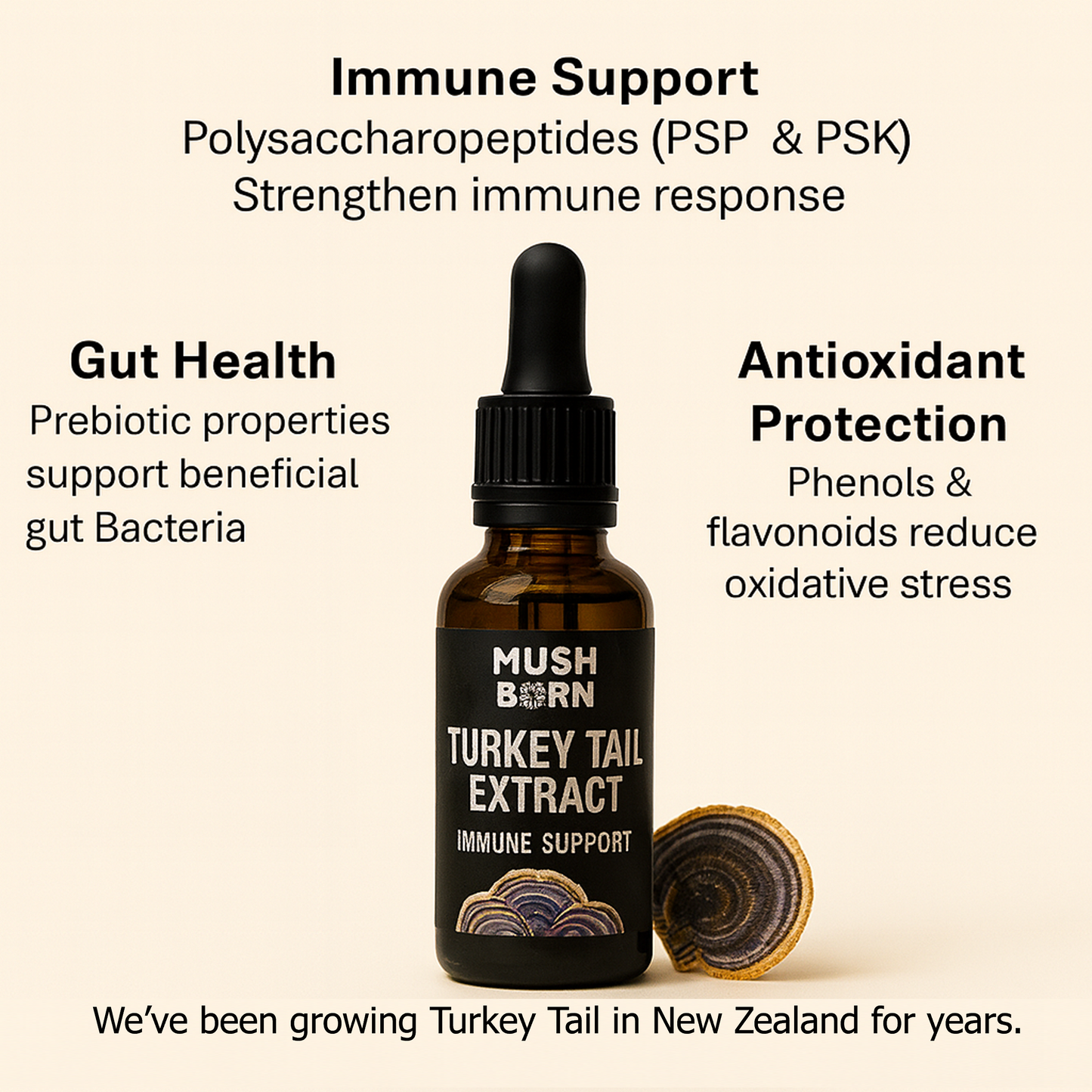 Gut-Brain Duo
