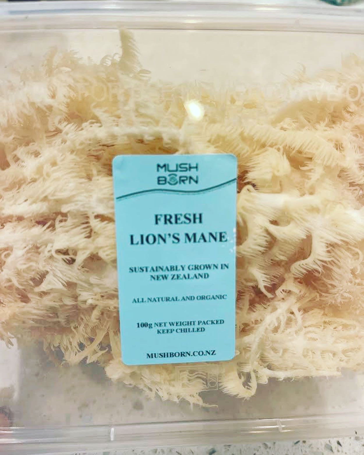 Lion's Mane-NZ (500g)-Fresh