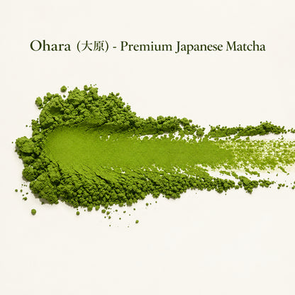Shroom Matcha SJ
