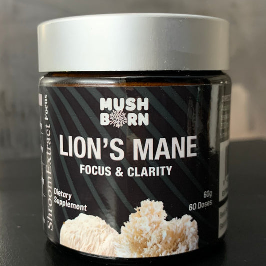 Lion’s Mane Powder