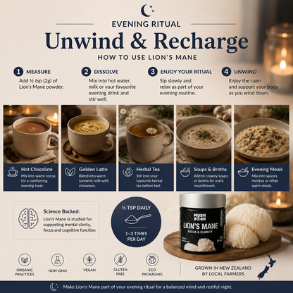 Lion’s Mane Extract Powder