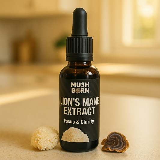 Lion’s Mane Extract [50 ml]