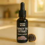 Turkey Tail Tincture [50 ml]